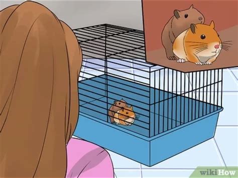 hamsterfreeporn|Porn Videos Based on Latest Recommendations .